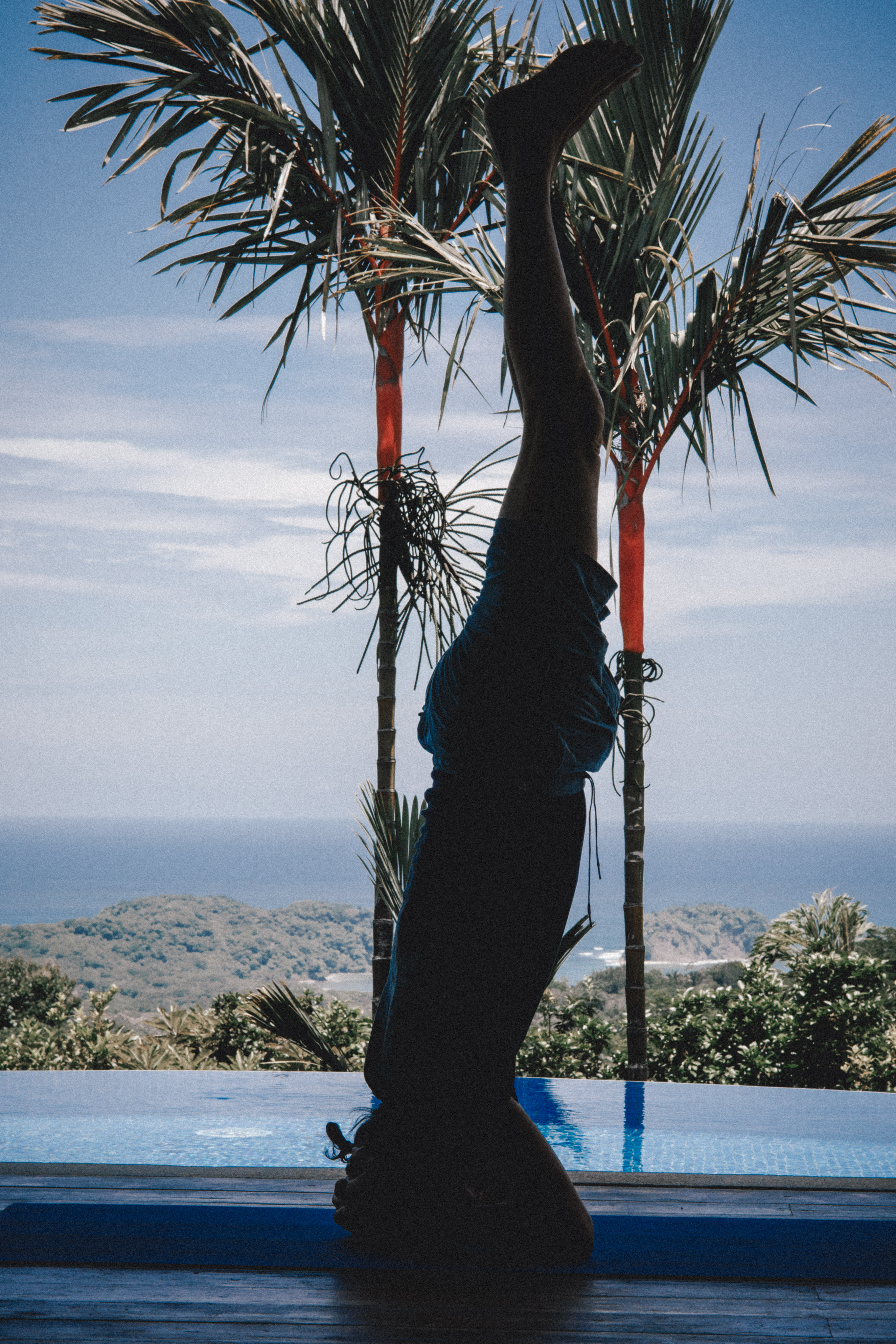 Jorg Krebber — embodiment and practice